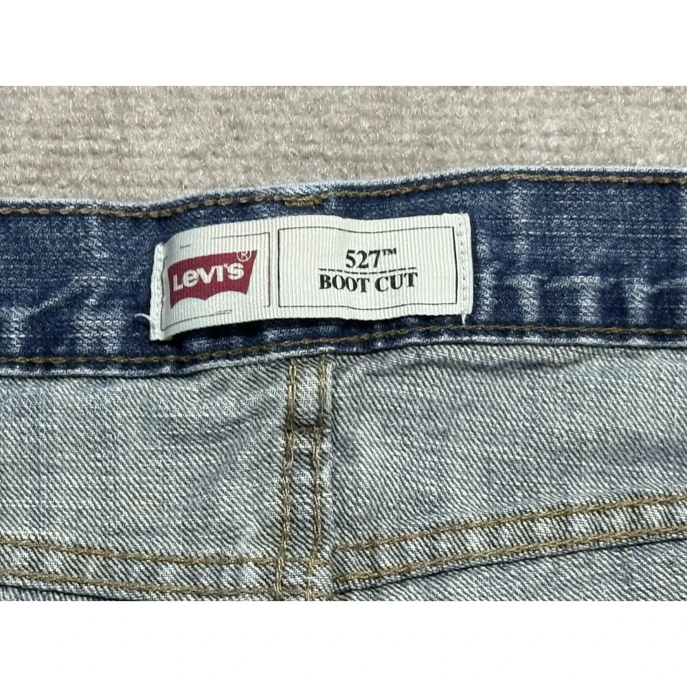 Levis levis 527
